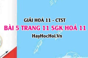 Giải bài 5 trang 11 Hoá 11 SGK Chân trời sáng tạo
